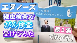 【線虫がん検査】尿１滴でわかる！エヌノーズ受けてみた体調に不安がある主婦ミート矢澤とオムキャベツ [upl. by Barthold]