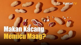 Makan Kacang Bisa Bikin Maag Kumat  Kontan News [upl. by Nattie737]