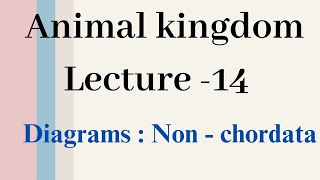 Diagrams  Non Chordates Animal kingdom Lecture  14 [upl. by Neala514]