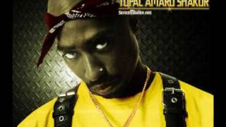 2Pac  Protect 2010 [upl. by Alemahs]