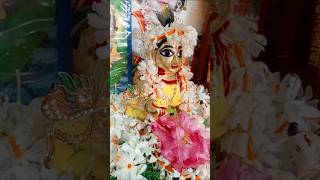 Joy Radhe Joy Radhe 🙏harekrishnajoygopalshorttrending2024viral [upl. by Kcireddor677]