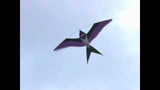 Bird Kites at Dieppe  2004 kite festival [upl. by Torosian676]