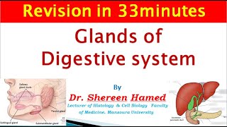 2021 revision of glands of digestive system [upl. by Erhart]