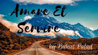 Amare et servire by Bukas Palad lyrics video [upl. by Eita157]