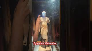 Egyptian Mummies Still Scientists are Finding out How they keep Mummies for Long Time [upl. by Hinson]