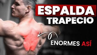 ESPALDA Y TRAPECIO Los mejores ejercicios trucos y técnica en el gimnasio [upl. by Tore]