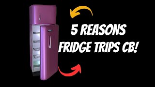 5 Common Reasons Your Fridge Trips the Breaker [upl. by Pebrook948]