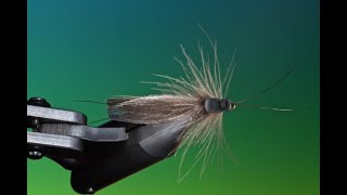 Fly tying a Giant stonefly dry fly with Barry Ord Clarke [upl. by Markman]