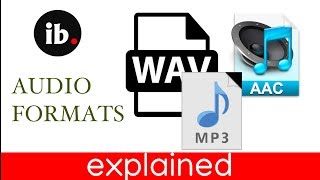 audioformats explained  Malayalam [upl. by Atiuqes174]