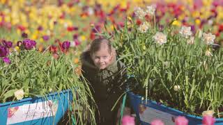 Floriade 2017 [upl. by Nyvar]