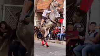 Caballo Reparando Acaba Mal🤔😱🇲🇽💯 caballos shorts caballosbailadores horse jaripeo rodeo [upl. by Assilav]