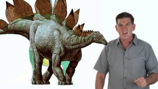 Dinosaur Discoveries Stegosaurus [upl. by Glenden]