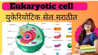 quotEukaryotic Cell Structure and Functionquot [upl. by Ayiotal]