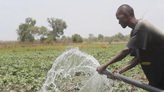 Reportage  Visite dans les périmètres maraîchers [upl. by Hindu]