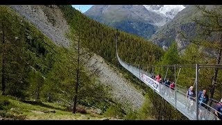 Swiss Alps suspension bridge opens [upl. by Lew]