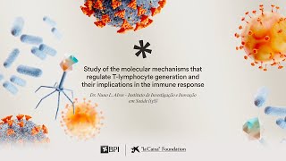 Study of the mechanisms that regulate immunity against infection Nuno L Alves  CaixaResearch 2023 [upl. by Ydda]