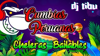 Mix Cumbias Peruanas DjTibu Armonia 10 Agua Marina Grupo 5 La Unica Tropical Azucena Calvay [upl. by Julita]