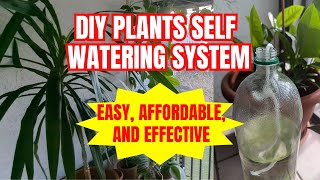 DIY Plants Self Watering System  Easy Affordable Effective Gardening Hack  Travel Tips and Tricks [upl. by Hilda]