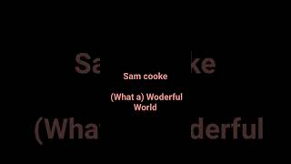 Sam cooke quot wonderful worldquot [upl. by Hatnamas]