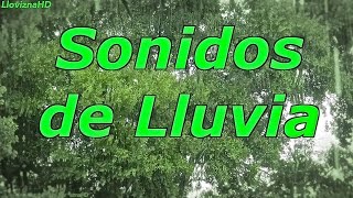 12 horas de lluvia para dormir y relajarse  sonidos de lluvia  dormirse [upl. by Araz]