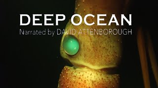 David Attenborough  Monterey Bay  Deep Ocean  Life in the Abyss [upl. by Spillihp]