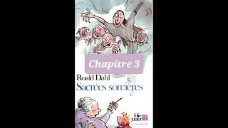 2 Sacrées Sorcières de Roald Dahl chapitre 3 livre audio [upl. by Nomihs553]