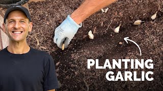 Planting Garlic for Next Summer  Gardening with Wyse Guide [upl. by Marlena]