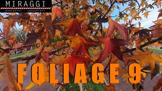 FOLIAGE 9 [upl. by Inavoy]