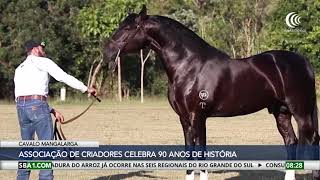 Associação de Criadores de Cavalo Mangalarga celebra 90 anos de história [upl. by Reuben418]