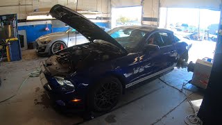 Shelby GT500 Dyno Results [upl. by Leasia]