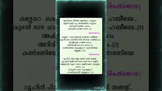 Kutikalkkulla nabidina paatnabidina song 2024meelad song newshortvideotrendingshortvideoyt [upl. by Enej]