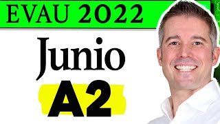 Formulación Orgánica EVAU QUÍMICA Junio 2022 [upl. by Akehs5]