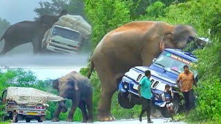 World Top 3 Wild Elephant Attack Vehicle In 2023 [upl. by Irwinn557]