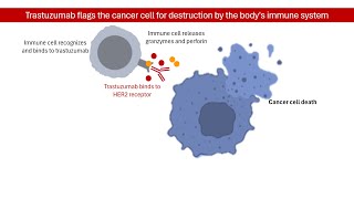 TrastuzumabDeruxtecan A GameChanger in HER2Positive Cancers │ Pharmacology [upl. by Yssep]