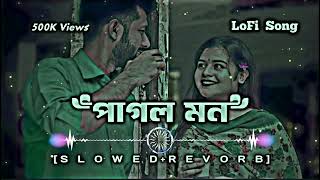 পগল হয় আছ তরই করণ Pagol hoye achi tori karon LoFi Song lofi lofimusic [upl. by Sane]