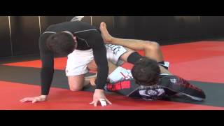 Butterfly Sweep to Leg Drag  No Gi with Robson Moura [upl. by Katya]