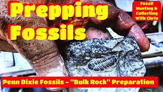 Prepping Fossils  Penn Dixie Fossil Bulk Trilobite Preparation Fossil Hunting amp Collecting W Chris [upl. by Kissiah]