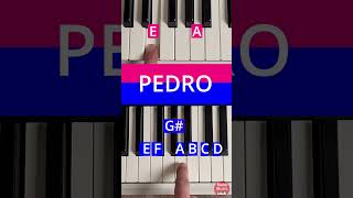 PEDRO PEDRO 🤪 Piano Tutorial pianotutorial piano [upl. by Luar]