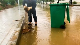 Keeping Natures Flow Unclogging a Flash Flood Drain for Preservation [upl. by Peednus]