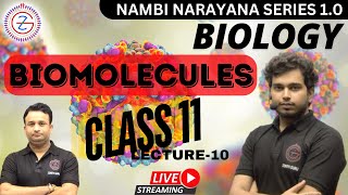 BIOMOLECULES  Class  11  Chapter 09  Lecture 10  By Ashutosh Sir [upl. by Trah]