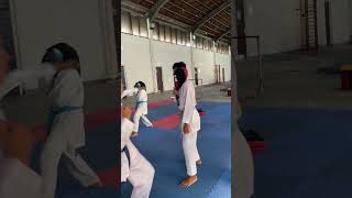 Kizami Ushiro Ura Mawashi Karate [upl. by Haem460]