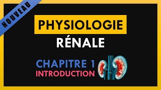 Physiologie Rénale  Chapitre 1  Introduction [upl. by Nerradal]