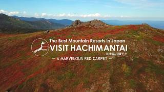 A MARVELOUS RED CARPET  MT MITSUISHI HACHIMANTAI CITY IWATE TOHOKU JAPAN [upl. by Anujra]