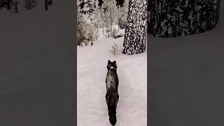 50 de quotlerigouquot  WolfQuest AE wolfquest wolfquestanniversaryedition [upl. by Pinter985]