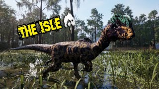 🔴LIVE  Dilophosaurus Waking nightmares  The Isle Evrima [upl. by Ramunni565]