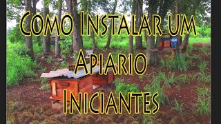 Como Instalar um Apiário PIniciantes [upl. by Ceciley976]