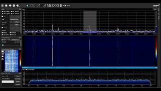 RTM Wai FM 11665 kHz in Moscow [upl. by Anaujnas135]