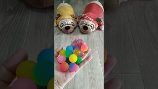 Dogs and Marbles Satisfying Video Reverse Video [upl. by Jocelyn]