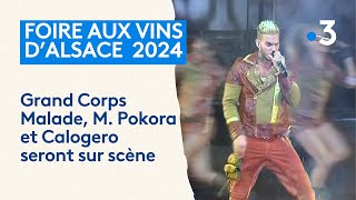 Foire aux vins de Colmar  découvrez la programmation de lédition 2024 [upl. by Onaicul]