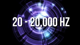 Not All Humans Can Hear This Sound Can You  Take the 20hz  20000hz Audio Spectrum Test [upl. by Caresa915]